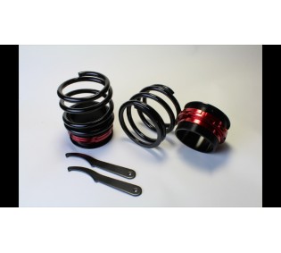 リア車高調キット(ショートスプリングタイプ)