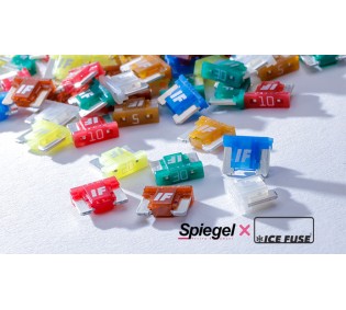 Spiegel X ICE FUSE Low Proタイプ (シュピーゲル クロス アイスフューズ)