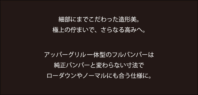 Spiegel (シュピーゲル) Artista Excellent ダイハツ ハイゼットトラック(ジャンボ) S500P/S510P (R3.12～) フルバンパー 特集ページ5